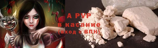амф Гусь-Хрустальный