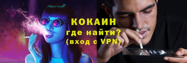 амф Гусь-Хрустальный