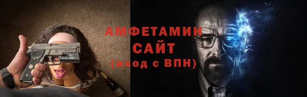 амф Гусь-Хрустальный
