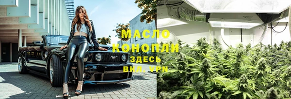 амф Гусь-Хрустальный
