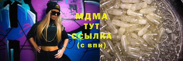 амф Гусь-Хрустальный