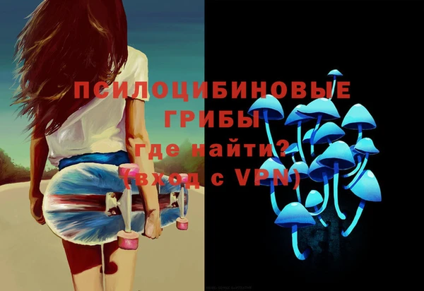 амф Гусь-Хрустальный