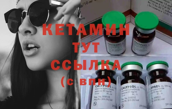 амф Гусь-Хрустальный