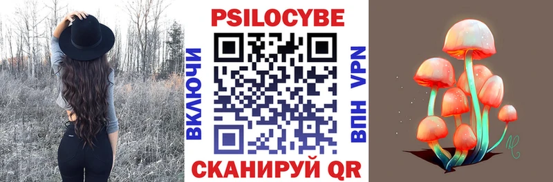 Купить  Хилок  Псилоцибиновые грибы прущие грибы 
